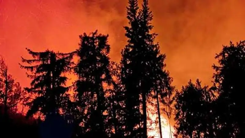 Пожар в Иле-Алатауском природном парке локализован, но еще не потушен, фото - Новости Zakon.kz от 21.10.2013 18:32