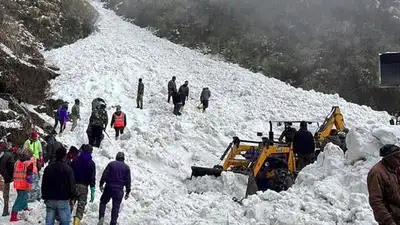 Шесть туристов погибли при сходе лавины в Индии , фото - Новости Zakon.kz от 05.04.2023 07:14