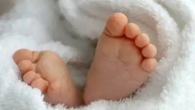 Фото с сайта dpchas.com, фото - Новости Zakon.kz от 20.12.2017 14:25