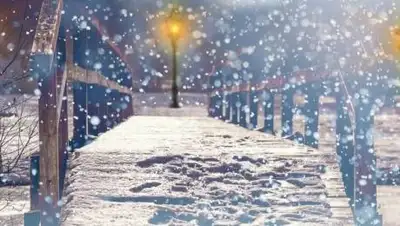 pixabay.com, фото - Новости Zakon.kz от 02.11.2021 15:37