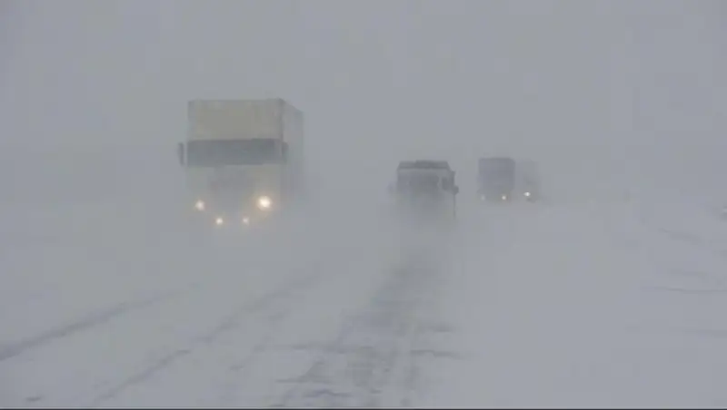 За неделю спасателями Комитета по ЧС МВД РК из снежного плена вызволены 581 человек
