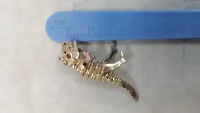 Мангистауская областная многопрофильная детская больница, фото - Новости Zakon.kz от 22.01.2021 07:49