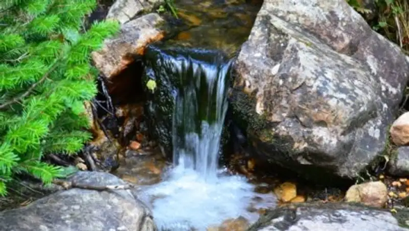 В Караганде обнаружили родник с повышенным содержанием нитратов