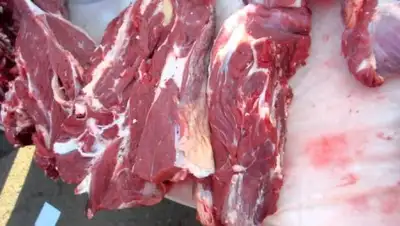 lalafo.kg, фото - Новости Zakon.kz от 05.10.2018 11:14