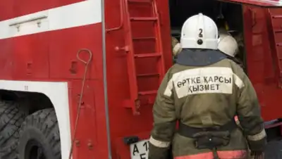 24.kz, фото - Новости Zakon.kz от 15.07.2019 17:59