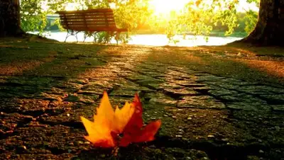 Zakon.kz, фото - Новости Zakon.kz от 07.10.2017 06:00