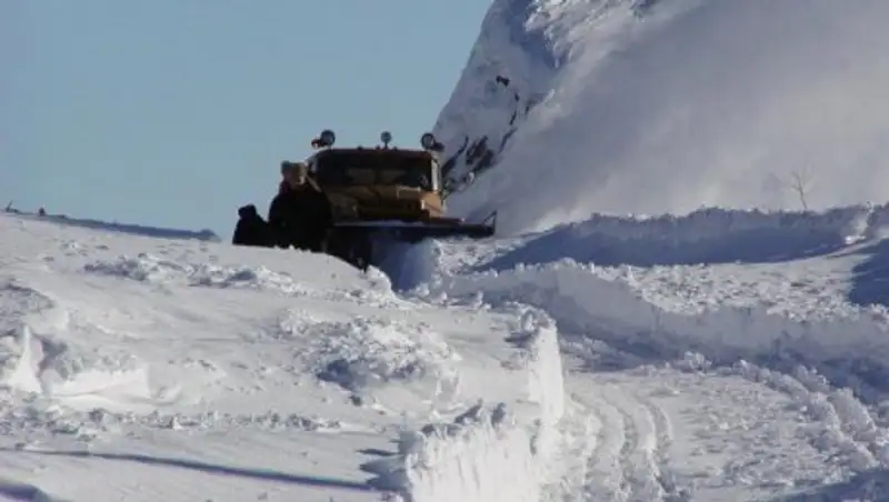 А&#1179;т&#1257;беде бір т&#1199;нде 58 адам &#1179;ар &#1179;&#1201;рсауынан &#1179;&#1201;т&#1179;арылды 