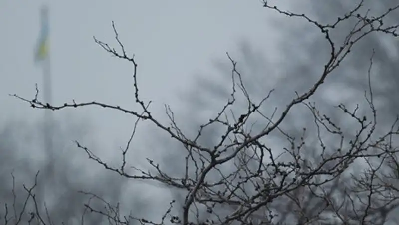 Туман и ветер ожидают казахстанцев в понедельник