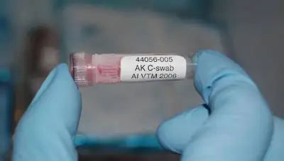 pixabay.com, фото - Новости Zakon.kz от 02.11.2021 10:54