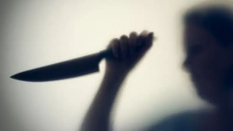 В Москве уроженка Узбекистана зарезала 3-летнего сына и покончила с собой