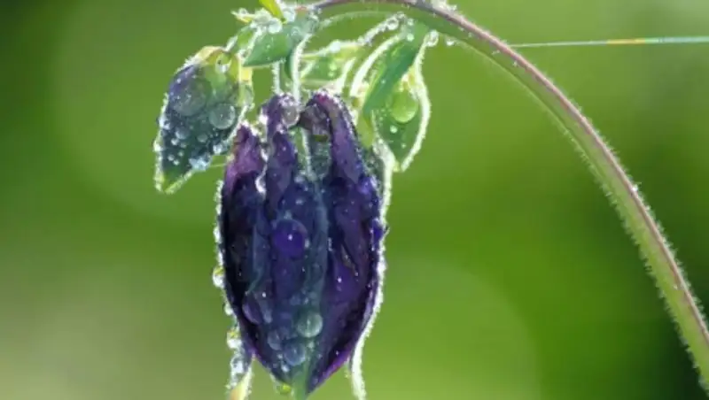 29 июля на большей части Казахстана возможны осадки