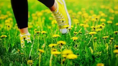 Zakon.kz, фото - Новости Zakon.kz от 19.05.2017 20:17