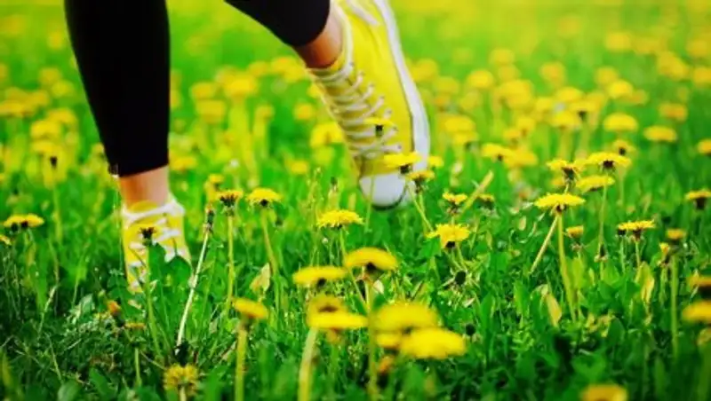 Погода на выходные: повышение температуры в большинстве областей РК обещают синоптики