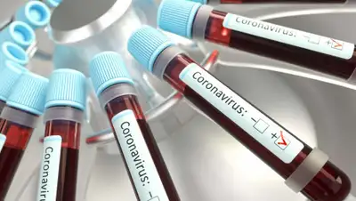 Kreisbote, фото - Новости Zakon.kz от 29.06.2020 20:12