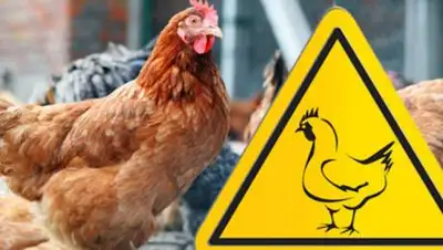 egoradmin.ru, фото - Новости Zakon.kz от 21.07.2021 11:05