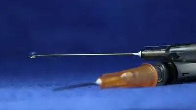 Pixabay, фото - Новости Zakon.kz от 07.04.2021 18:02