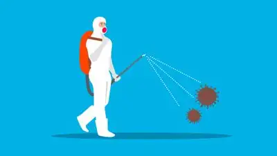 Pixabay, фото - Новости Zakon.kz от 27.11.2020 01:25