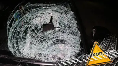 Zakon.kz, фото - Новости Zakon.kz от 26.05.2019 02:02