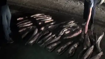 Zakon.kz, фото - Новости Zakon.kz от 08.06.2016 23:21