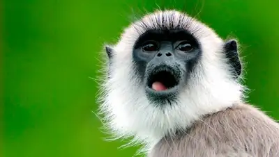 Zakon.kz, фото - Новости Zakon.kz от 06.01.2015 17:54