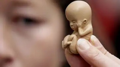 Colta.ru, фото - Новости Zakon.kz от 04.12.2018 18:33