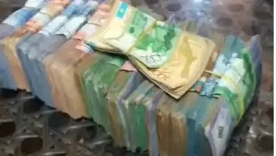 кадр видео/dobryaki_shymkenta_, фото - Новости Zakon.kz от 08.02.2019 13:29