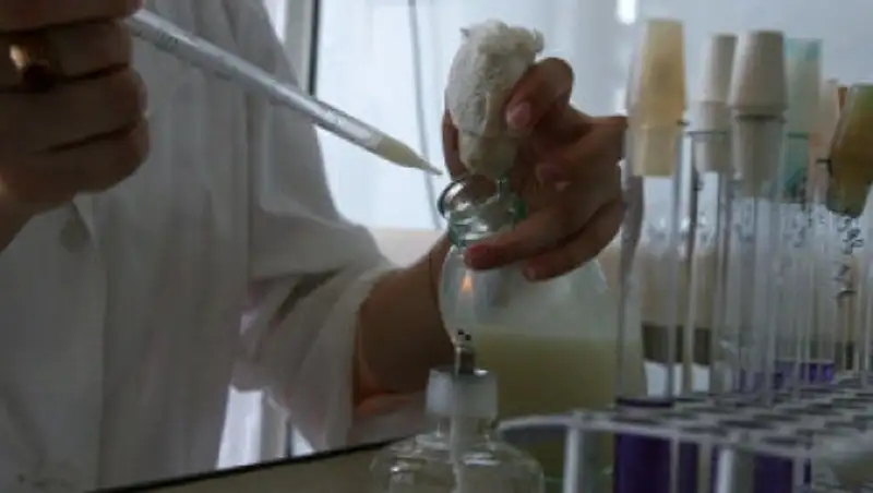 У жителя Жамбылской области обнаружили конго-крымскую геморрагическую лихорадку