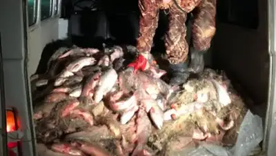 Zakon.kz, фото - Новости Zakon.kz от 06.12.2017 10:22