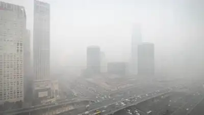 moya-planeta.ru, фото - Новости Zakon.kz от 17.06.2020 18:39