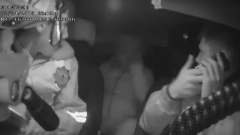 Уголовное дело расследуется в отношении мужчины, избившего себя в патрульной машине