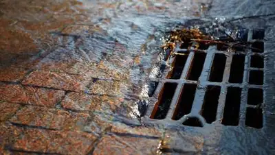 topiar.ua, фото - Новости Zakon.kz от 10.02.2021 11:10