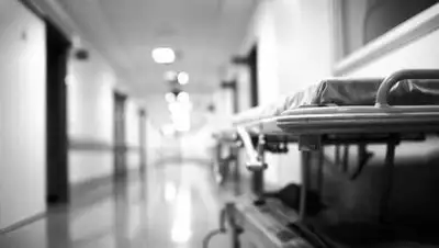 zakon.kz., фото - Новости Zakon.kz от 21.11.2020 06:26