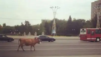 Zakon.kz, фото - Новости Zakon.kz от 17.09.2014 22:03