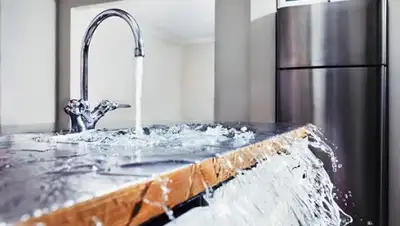 krot-servis.com.ua, фото - Новости Zakon.kz от 20.11.2019 14:59