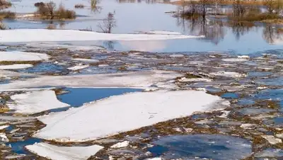Zakon.kz, фото - Новости Zakon.kz от 03.01.2016 21:01