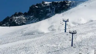 Zakon.kz, фото - Новости Zakon.kz от 31.01.2017 17:08