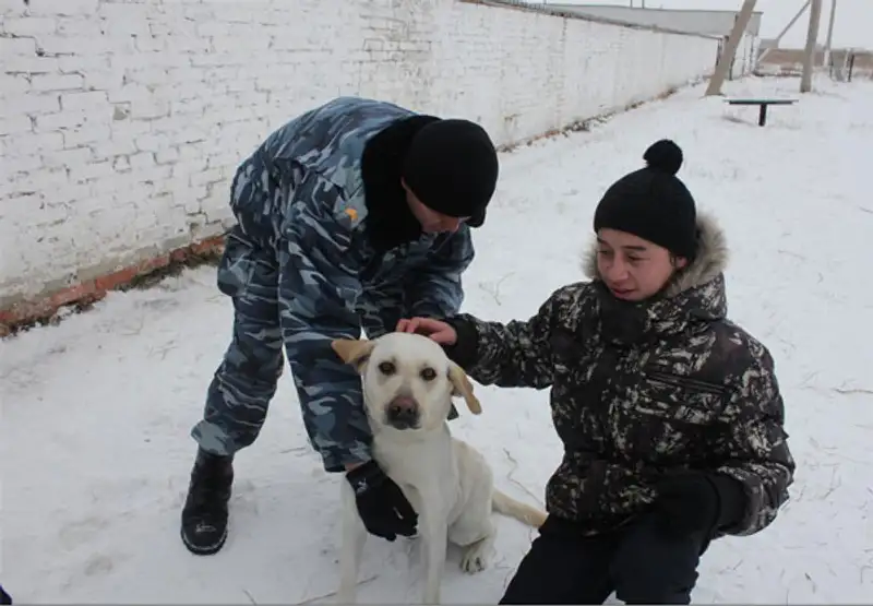 Костанайские полицейские рассказали школьникам о правилах безопасности (фото) Костанайские полицейские рассказали школьникам о правилах безопасности (фото), фото - Новости Zakon.kz от 08.12.2011 15:54