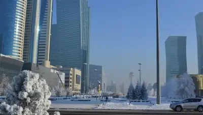 Zakon.kz, фото - Новости Zakon.kz от 15.12.2015 12:00