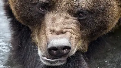 Zakon.kz, фото - Новости Zakon.kz от 17.07.2015 06:57