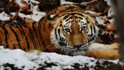 Zakon.kz, фото - Новости Zakon.kz от 04.04.2016 21:03