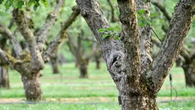 Zakon.kz, фото - Новости Zakon.kz от 01.04.2016 22:21