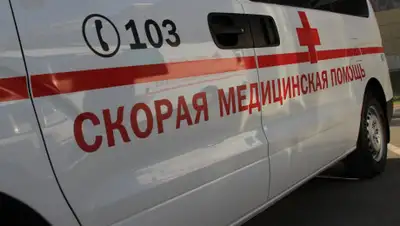 alau.kz, фото - Новости Zakon.kz от 07.03.2019 19:19