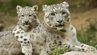 Zakon.kz, фото - Новости Zakon.kz от 25.05.2016 16:42