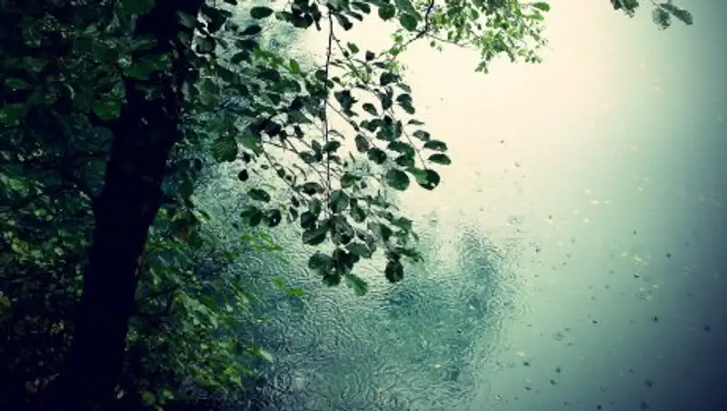 В понедельник в Казахстане ожидаются дожди