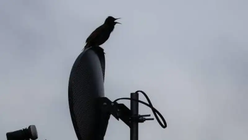 Как принимать 16 спутников на одну антенну