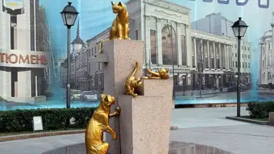 omsk.ru, фото - Новости Zakon.kz от 13.08.2018 12:50