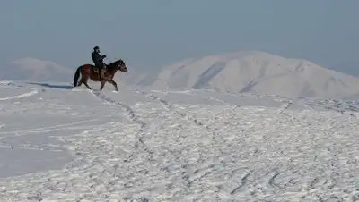 РИА Новости, фото - Новости Zakon.kz от 05.04.2018 06:56