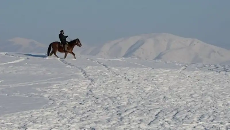 В Алматинской области спустя пять лет раскрыли убийство пастуха