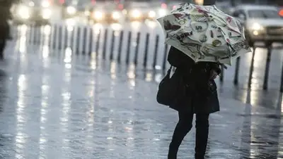 Zakon.kz, фото - Новости Zakon.kz от 06.05.2017 12:01