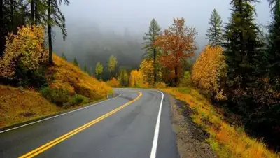 wallls.ru, фото - Новости Zakon.kz от 07.10.2018 09:27